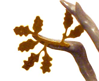 DryadLeaf.jpg